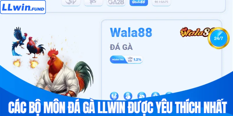 Đá Gà LLWIN - Trải Nghiệm Sàn Đấu An Toàn Và Minh Bạch 2026