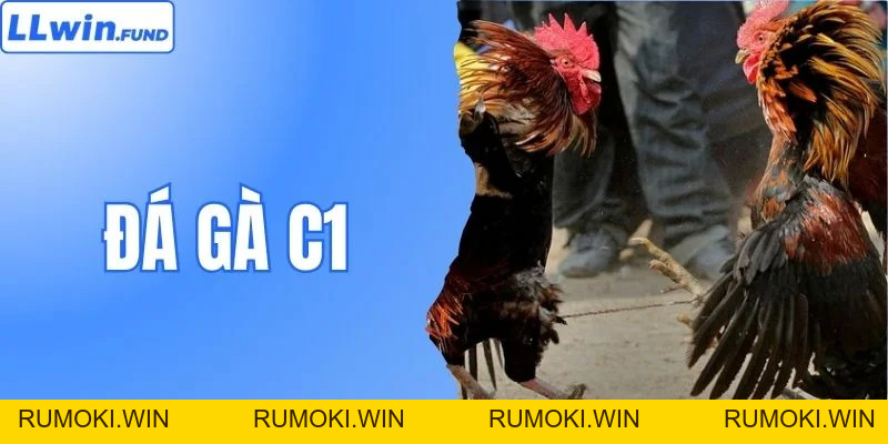 Đá Gà C1 LLWIN - Nơi Những Chiến Kê Triệu Đô Hội Tụ