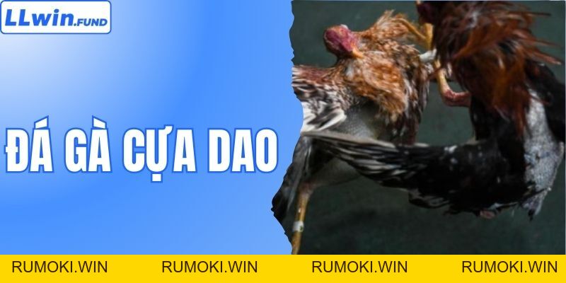 Đá Gà Cựa Dao - Đấu Trường Sinh Tử Hấp Dẫn Nhất Tại LLWIN