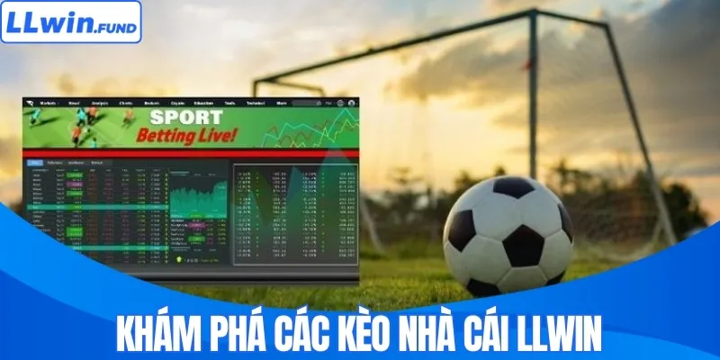 Kèo Nhà Cái LLWIN - Cược Nhanh Gọn, Thắng Lớn Mỗi Ngày