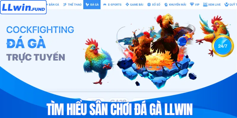 Đá Gà LLWIN - Trải Nghiệm Sàn Đấu An Toàn Và Minh Bạch 2026