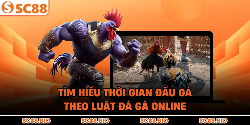 Luật Đá Gà Online Tại SC88: Cẩm Nang Từ A-Z Cho Kê Thủ