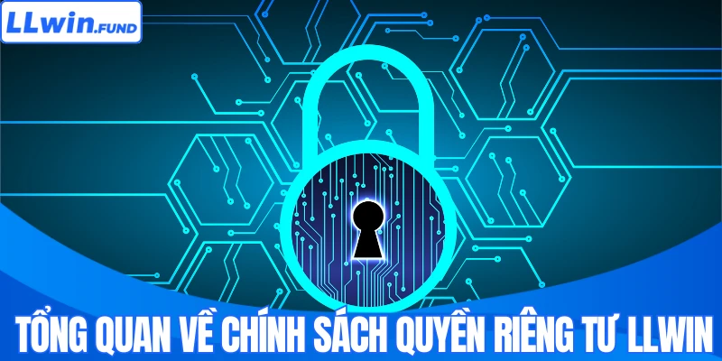 Quyền Riêng Tư Và Trách Nhiệm Của Hội Viên Tại LLWIN