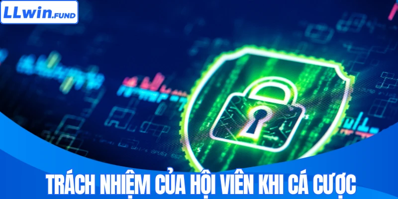 Quyền Riêng Tư Và Trách Nhiệm Của Hội Viên Tại LLWIN