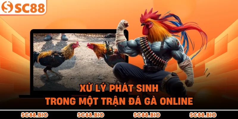 Luật Đá Gà Online Tại SC88: Cẩm Nang Từ A-Z Cho Kê Thủ