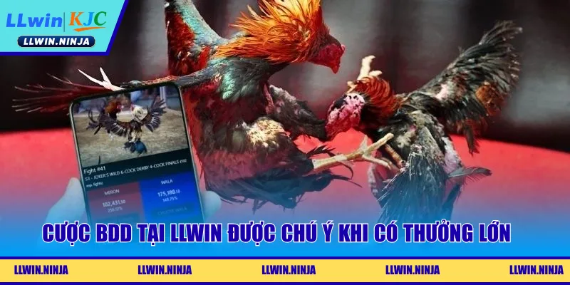 Kèo Đá Gà Là Gì? Chiến Lược Dự Đoán Hiệu Quả Tại LLwin