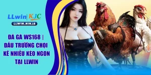 Đá Gà LLwin | Sân Chơi Cược Gà Chọi Ăn Khách Số 1 Châu Á