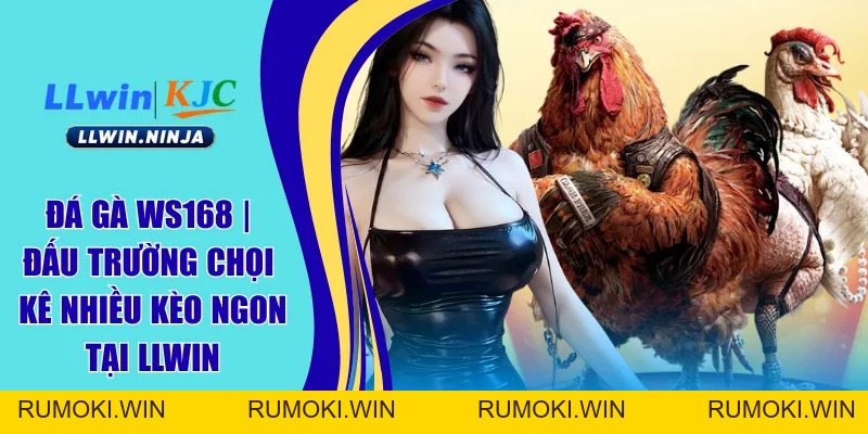 Đá Gà WS168 | Đấu Trường Chọi Kê Nhiều Kèo Ngon Tại LLwin
