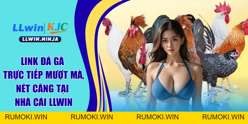 Link Đá Gà Trực Tiếp Mượt Mà, Nét Căng Tại Nhà Cái LLwin