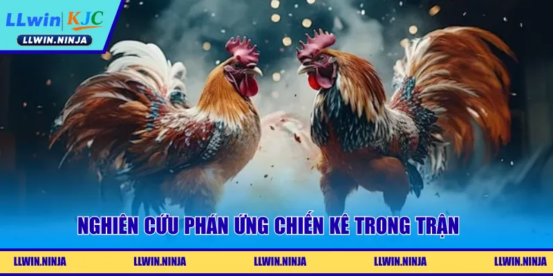 Tỷ Lệ Đá Gà Là Gì? Những Tips Chốt Kèo Hiệu Quả Tại LLwin