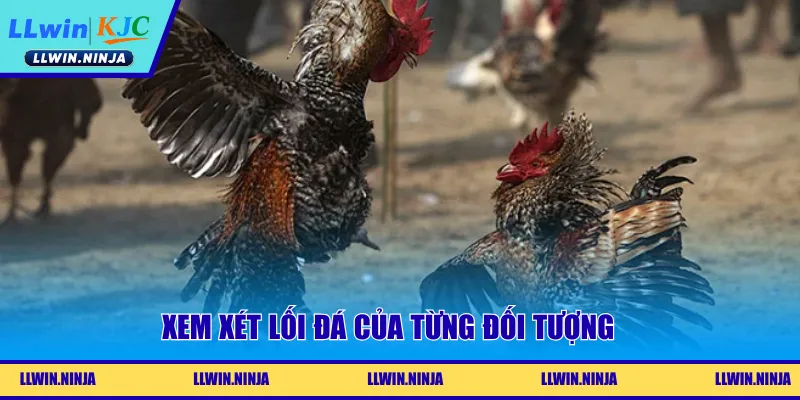 Tỷ Lệ Đá Gà Là Gì? Những Tips Chốt Kèo Hiệu Quả Tại LLwin