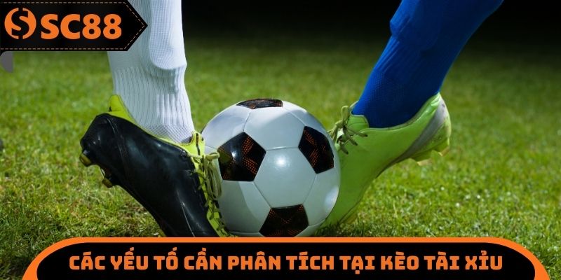 Kèo Tài Xỉu SC88 - Cách Giành Lấy Chiến Thắng Cuối Cùng