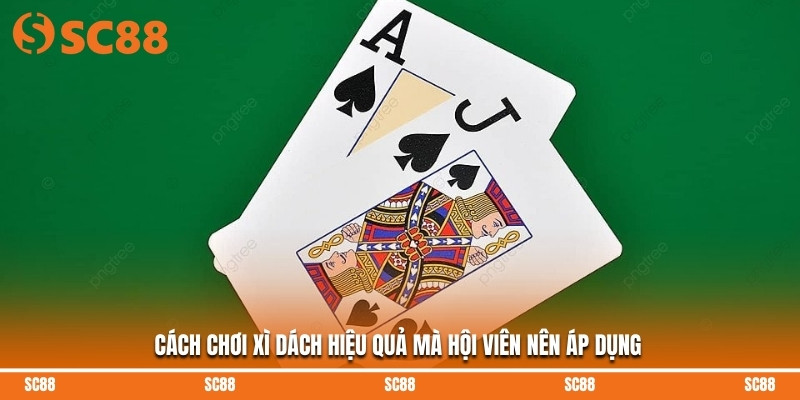 Cách Chơi Xì Dách SC88 Chi Tiết, Dễ Hiểu Cho Người Mới