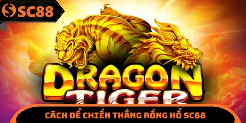 Rồng Hổ SC88 - Lối Chơi Tối Ưu Nhận Về X10 Tài Khoản