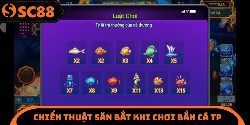 Bắn Cá TP SC88 - Nghiên Cứu Kỹ Càng Về Các Thao Tác Cụ Thể
