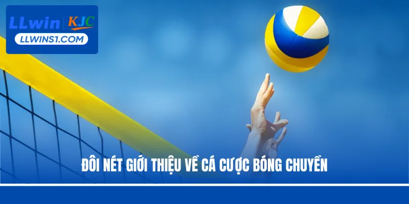 Cá Cược Bóng Chuyền - Hình Thức Đặt Cược Hot Tại LLwin
