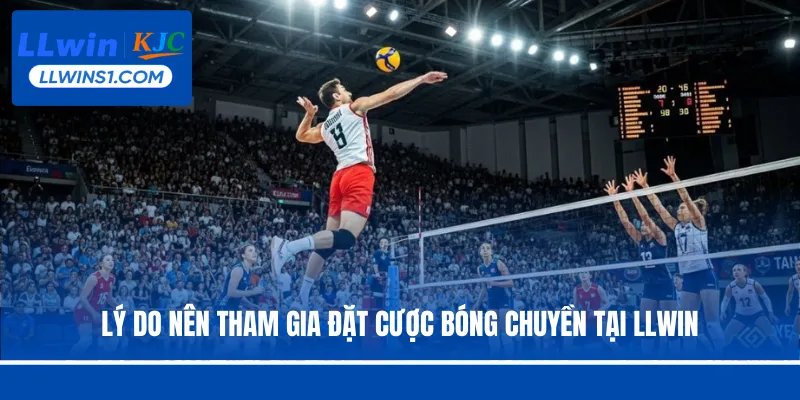 Cá Cược Bóng Chuyền - Hình Thức Đặt Cược Hot Tại LLwin