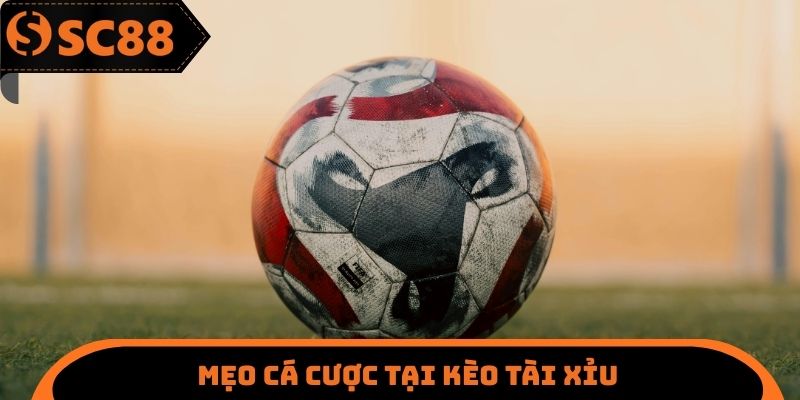 Kèo Tài Xỉu SC88 - Cách Giành Lấy Chiến Thắng Cuối Cùng