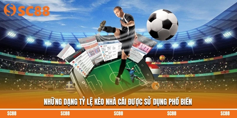 Tỷ Lệ Kèo Nhà Cái – Cách Đọc Và Soi Kèo Hiệu Quả Tại SC88