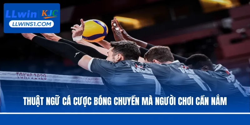 Cá Cược Bóng Chuyền - Hình Thức Đặt Cược Hot Tại LLwin