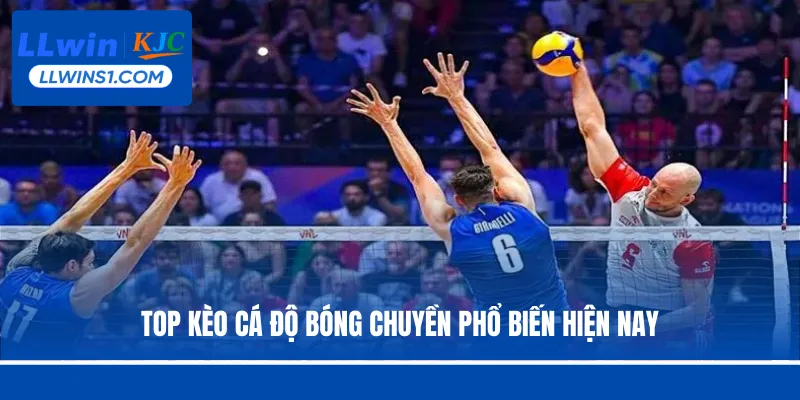 Cá Cược Bóng Chuyền - Hình Thức Đặt Cược Hot Tại LLwin